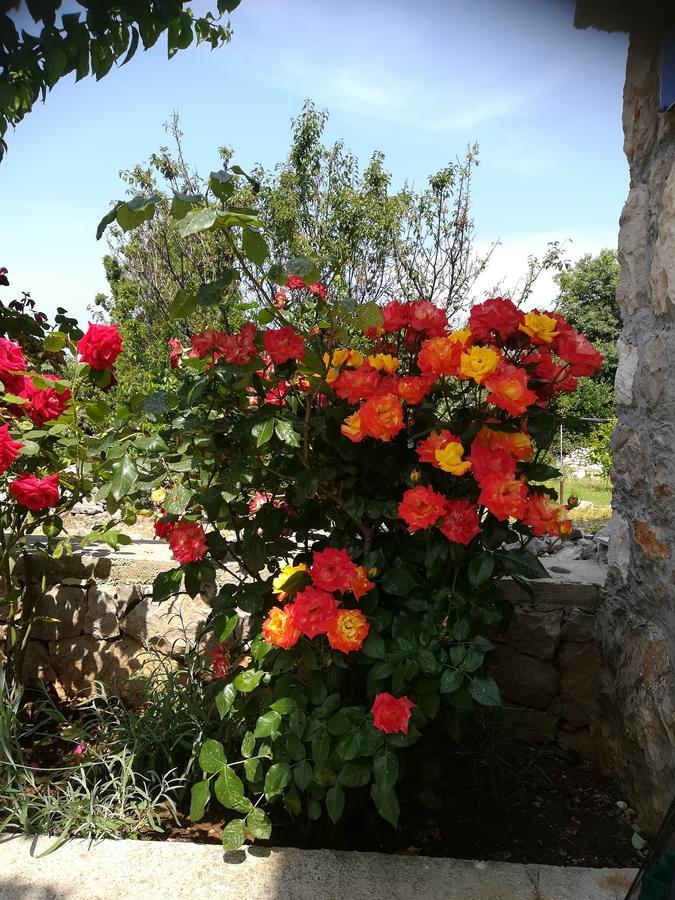 Apartment Neno - Terrace & Parking Veli Losinj Exterior photo