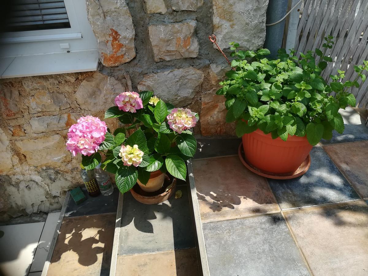 Apartment Neno - Terrace & Parking Veli Losinj Exterior photo